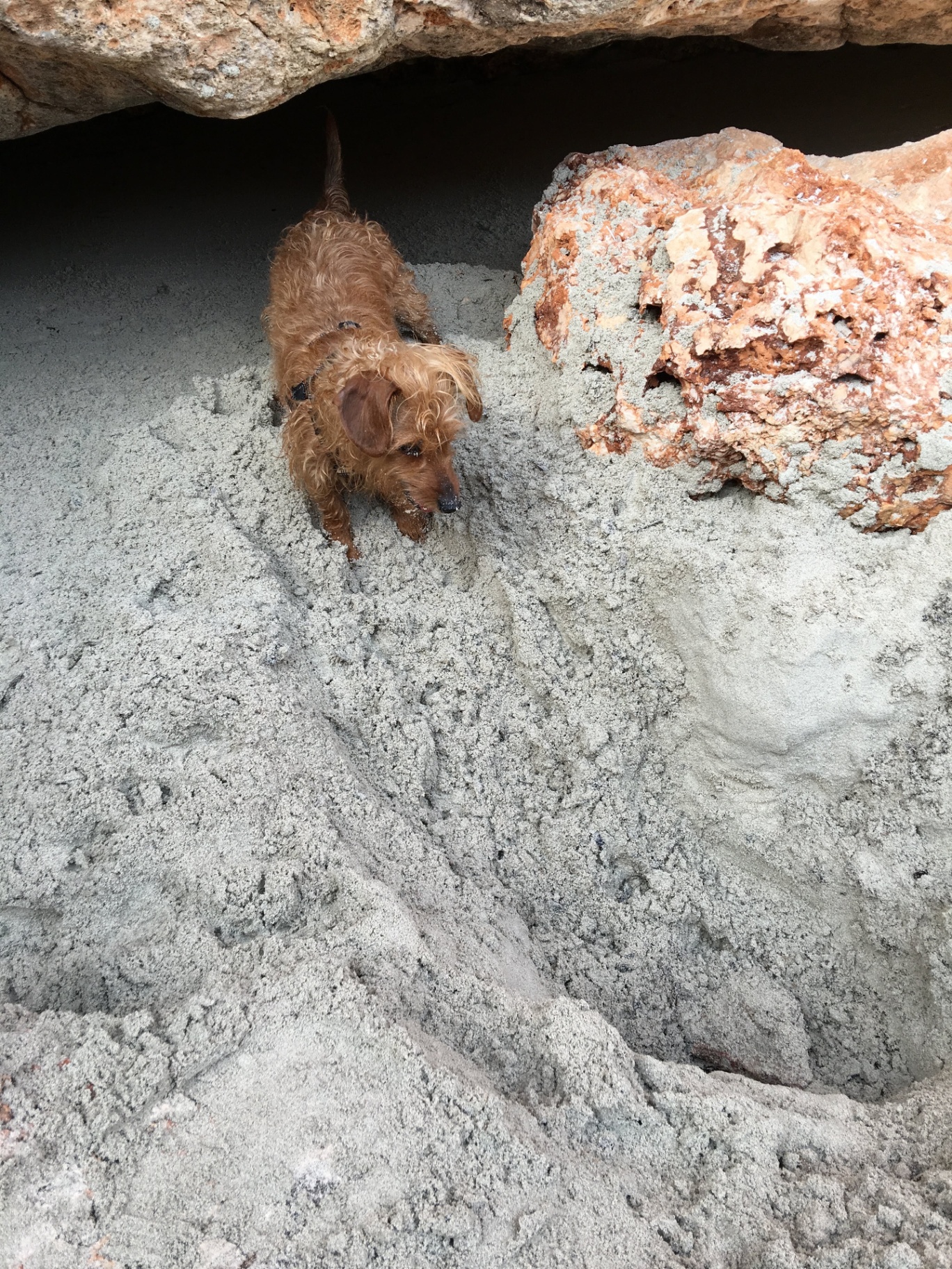 Molly esplora una grotta tra sabbia e roccia
