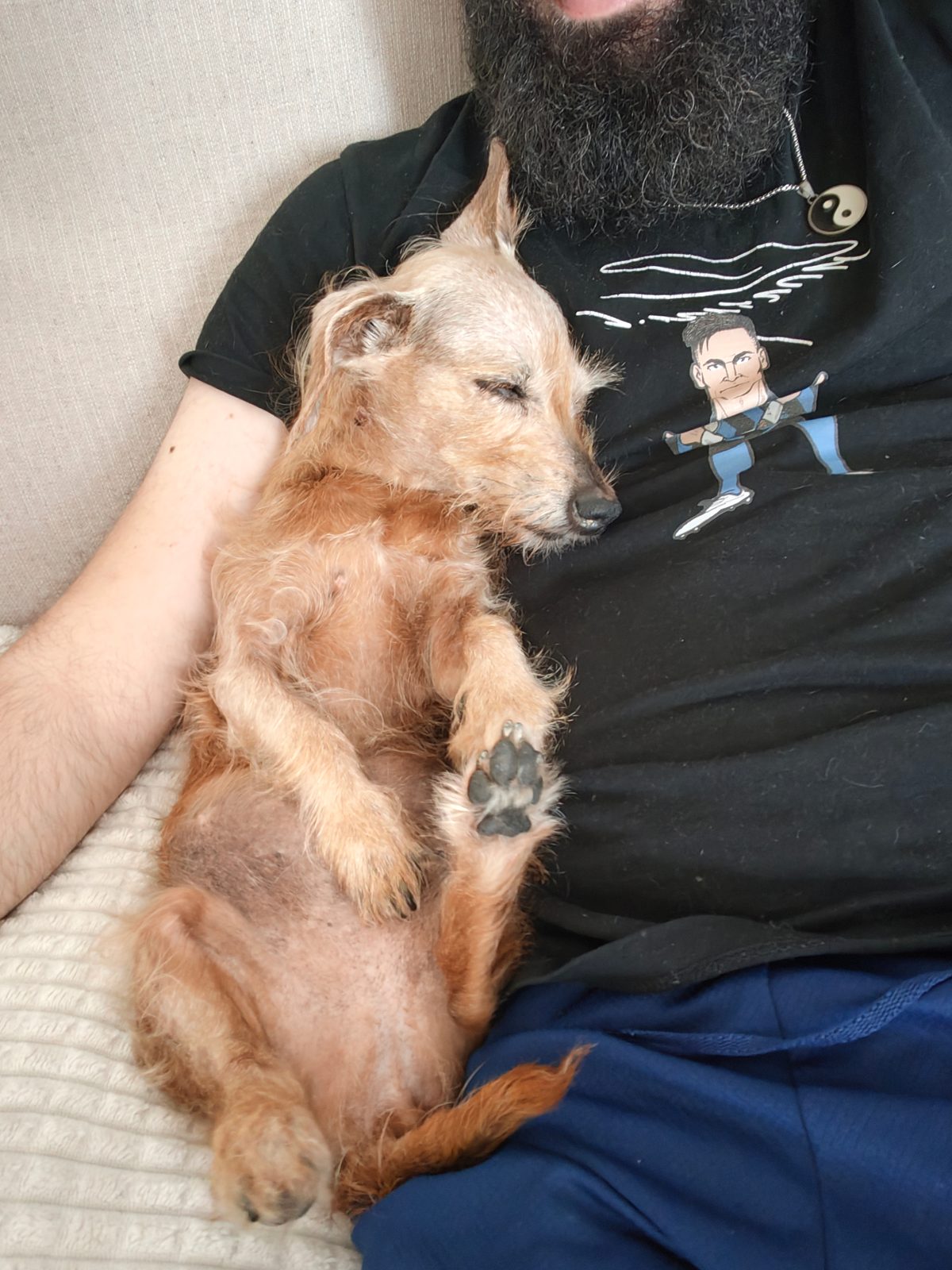 Molly dorme appoggiata al petto del suo umano